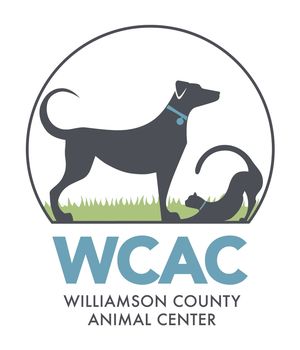 Helping Animals with